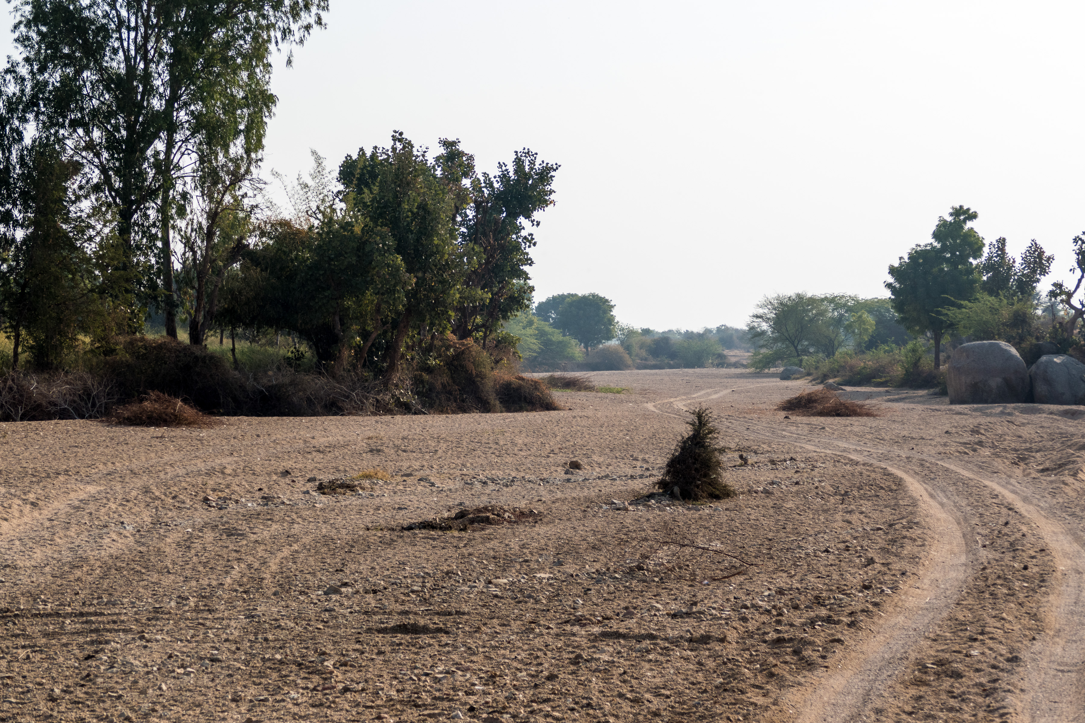 Bera Safari Lodge